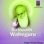 Parveen Mudgal Songs MP3 Download